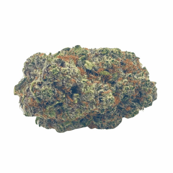 Purple Papaya - AAAA (1/4 LB - 2 LB) - Image 1