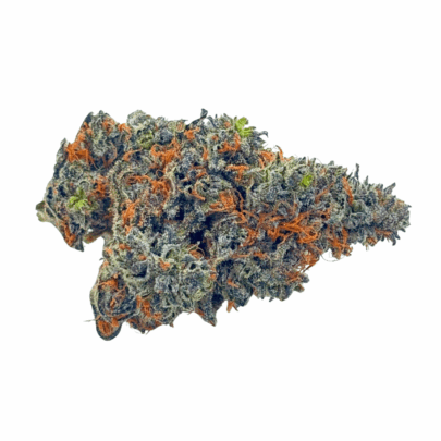 White Truffle (Crop #3) - AAAA
