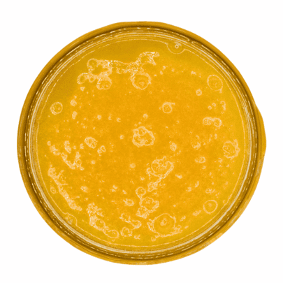 Hibiscus Sunrise - Live Resin (Indica)