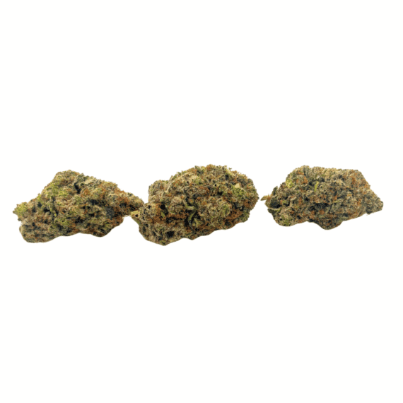 Purple Papaya - AAAA - Image 2