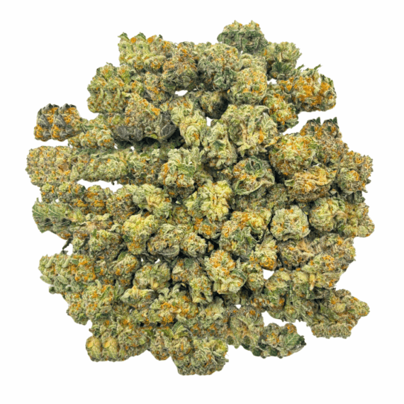 King Tut (Crop #2) - Popcorn (1/4 LB - 2 LB) - Image 2