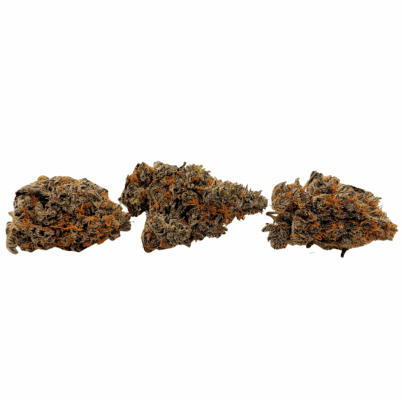 White Truffle (Crop #3) - AAAA - Image 2