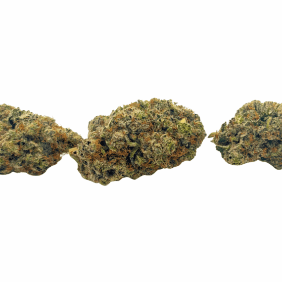 Purple Papaya - AAAA - Image 3