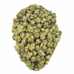 King Tut (Crop #2) - Popcorn (1/4 LB - 2 LB) - Image 3
