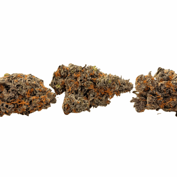 White Truffle (Crop #3) - AAAA - Image 3