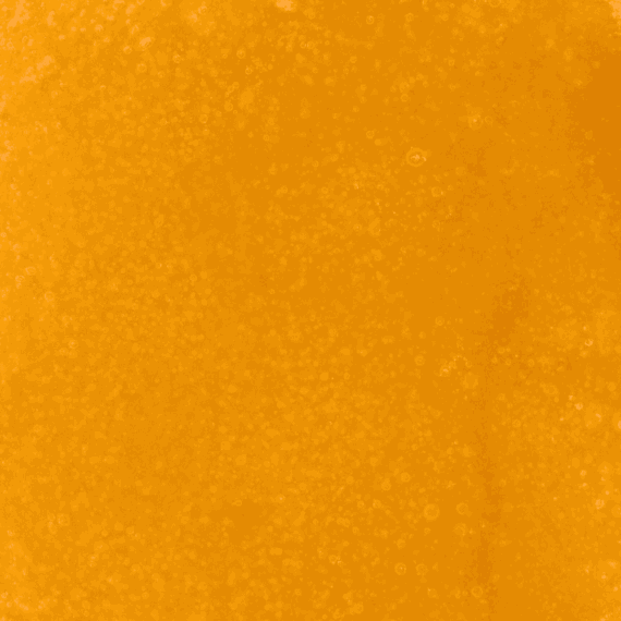 Gelato - Live Resin (Indica) - Image 5