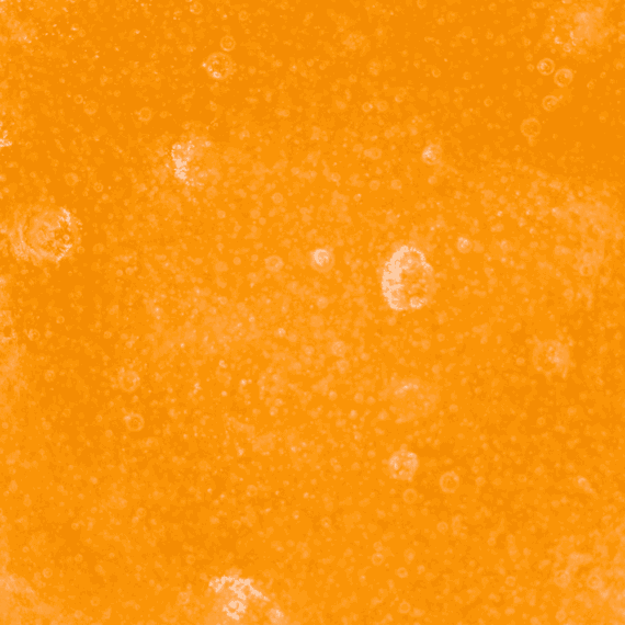 Tangerine Dream - Live Resin (Hybrid) - Image 5