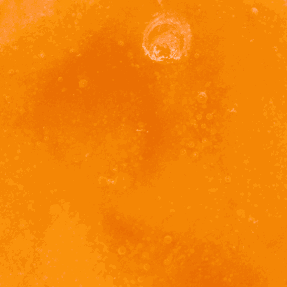 Bubbagum - Live Resin (Indica) (1/4 LB - 1 LB) - Image 5
