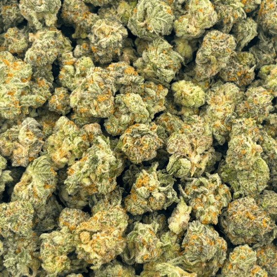 King Tut (Crop #2) - Popcorn (1/4 LB - 2 LB) - Image 4
