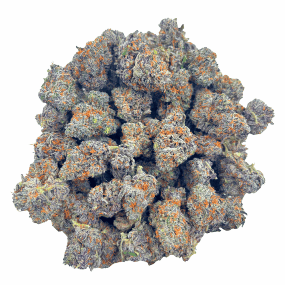 White Truffle (Crop #3) - AAAA - Image 4
