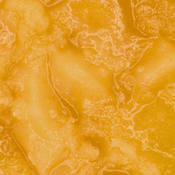 God Bud - Live Resin (Hybrid) (1/4 LB - 1 LB) - Image 5