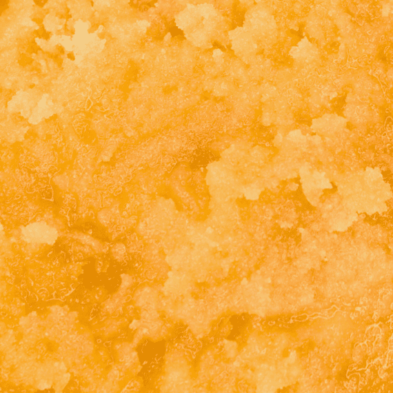 Sour Tangie (Release #2) - Live Resin (Sativa) (1/4 LB - 1 LB) - Image 5