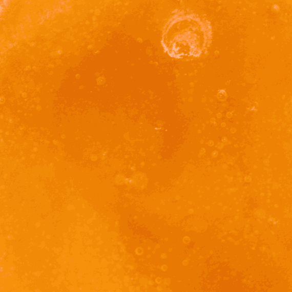 Bubbagum - Live Resin (Indica) (1/4 LB - 1 LB) - Image 2