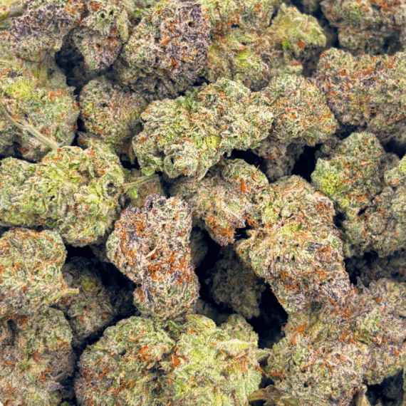 Blue Lobster (Crop #5) - Craft Cannabis - Image 5