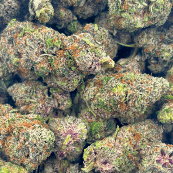 Purple Papaya - AAAA - Image 5