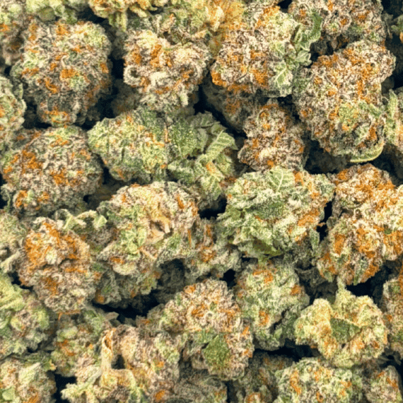 King Juice - Popcorn (1/4 LB - 2 LB) - Image 5