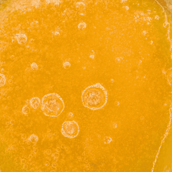 Tropicana Cookies - Live Resin (Sativa) (1/4 LB - 1 LB) - Image 2