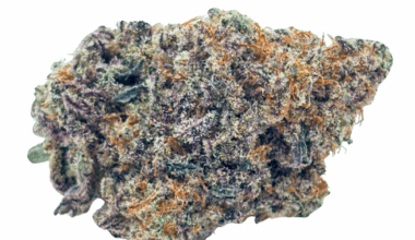 Blueberry MAC - Craft Cannabis