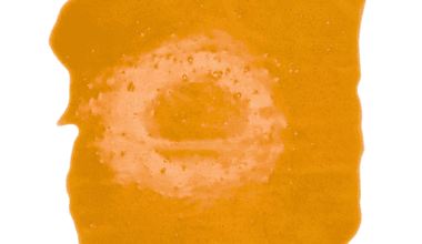 Tropicana Cookies - Shatter