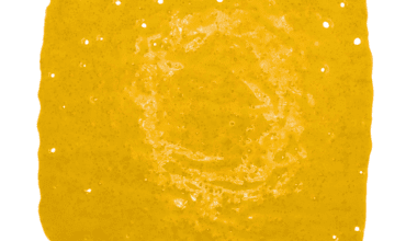 Amnesia Haze - Shatter