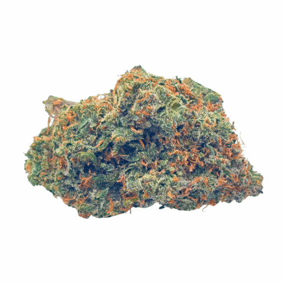 Red Congolese - AAA (1/4 LB - 2 LB) - Image 1