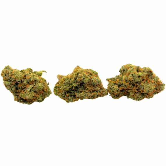 Red Congolese - AAA (1/4 LB - 2 LB) - Image 2