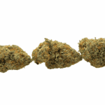 Silver Kush - Craft Cannabis (1/4 LB - 1 LB) - Image 3