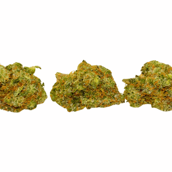 Red Congolese - AAA (1/4 LB - 2 LB) - Image 3