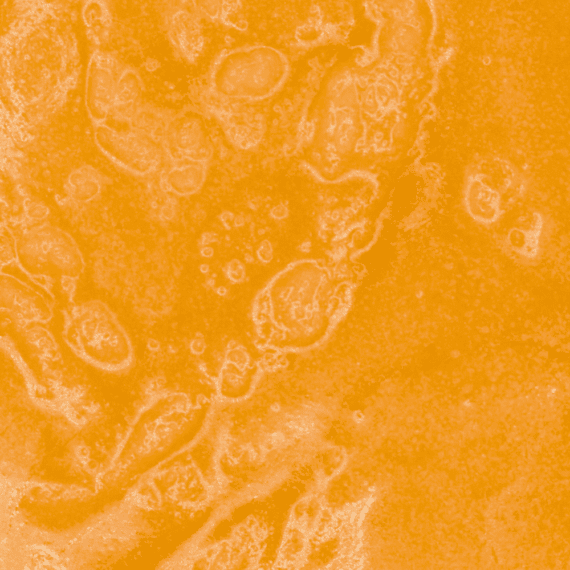 Cherry Pie - Live Resin (Indica) - Image 5