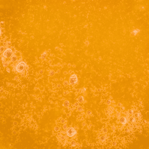 Cookies N Cream - Live Resin (Hybrid) (1/4 LB - 1 LB) - Image 5