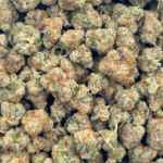 Miracle Alien Cookies - Popcorn - Image 4