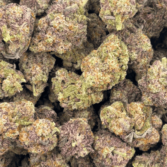 Blueberry MAC - Craft Cannabis (1/4 LB - 1 LB) - Image 5