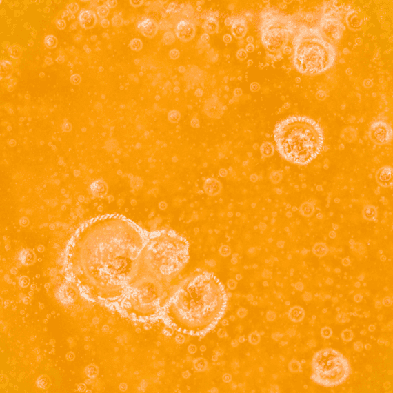 Honey Bananas - Live Resin (Hybrid) - Image 2