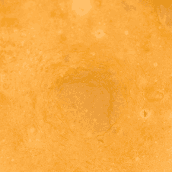 Silver Haze - Live Resin (Sativa) - Image 2