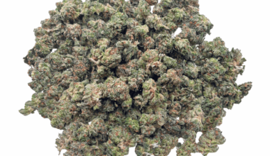 Island Pink - Popcorn