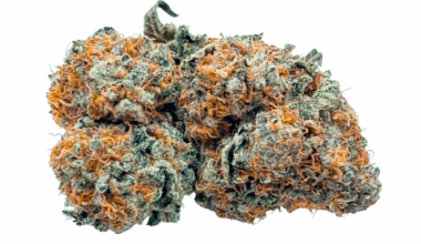 Fruitloop Haze - AAA (1/4 LB - 2 LB)