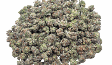 Master Kush - Popcorn (1/4 LB - 2 LB)