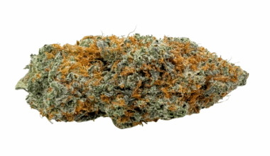 Girl Scout Cookies - Craft Cannabis