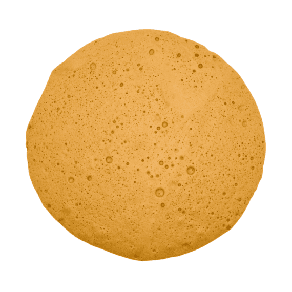 Mango Dream - Budder (Hybrid) - Image 1