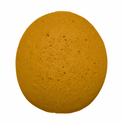 Biscotti - Budder (Indica)
