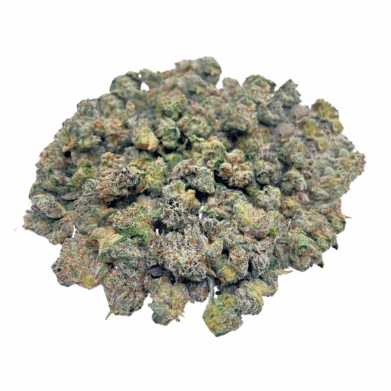 Blue Lobster - Popcorn (1/4 LB - 2 LB) - Image 1