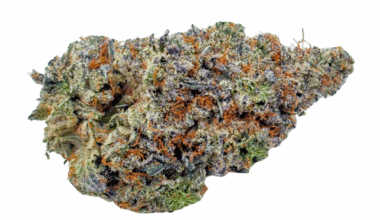 Strawberry Gary Peyton - Craft Cannabis (1/4 LB - 1 LB)