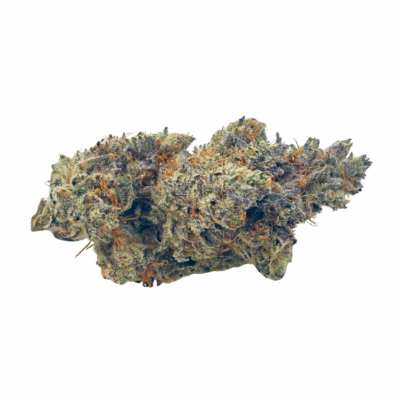 Blue Lobster (Crop #5) - Craft Cannabis - Image 1
