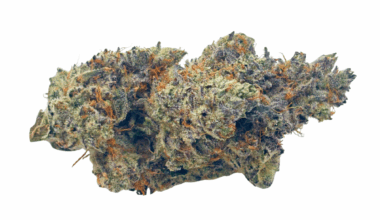 Blue Lobster (Crop #5) - Craft Cannabis (1/4 LB - 1 LB)