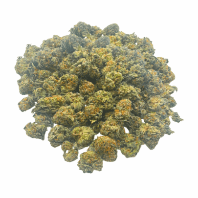 King Tut (Crop #3) - Popcorn (1/4 LB - 2 LB)