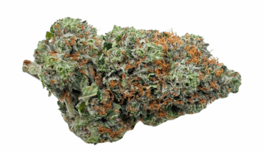 Master Kush - AAAA (1/4 LB - 2 LB)