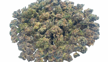 Purple Haze - Popcorn