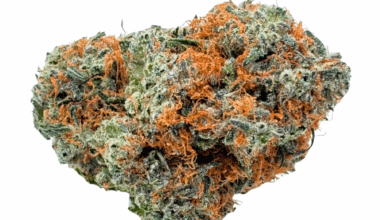 Lucky Charms - AAAA (1/4 LB - 2 LB)