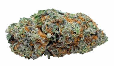 Super Lemon Haze - Craft Cannabis