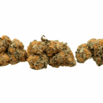 Fruitloop Haze - AAA (1/4 LB - 2 LB) - Image 2